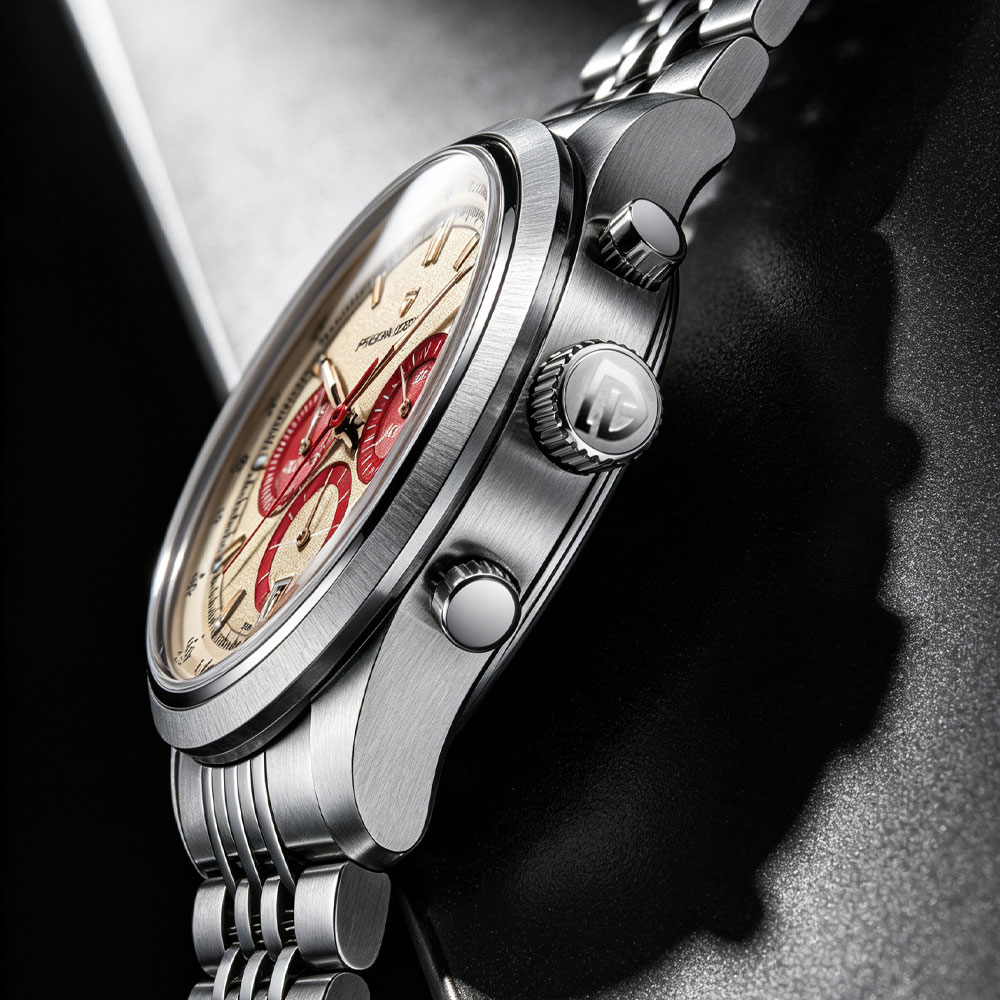 PAGANI DESIGN New Men Watch Lu - Luxury Watch Design review and price